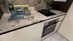 Tembusu Grand (D15), Condominium #613549941